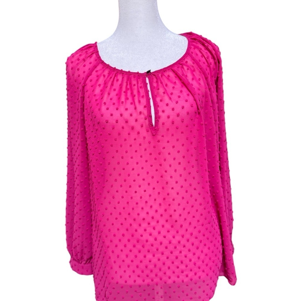 J.Crew Sheer Pink Swiss Dot Blouse Size Small